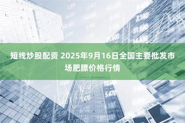短线炒股配资 2025年9月16日全国主要批发市场肥膘价格行情