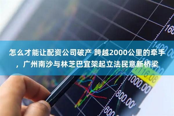 怎么才能让配资公司破产 跨越2000公里的牵手,广州南沙与林芝巴宜架起立法民意新桥梁