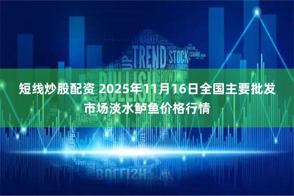 短线炒股配资 2025年11月16日全国主要批发市场淡水鲈鱼价格行情